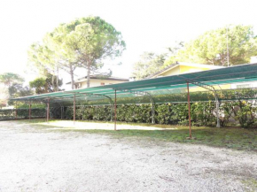 Apartment in Bibione 40067